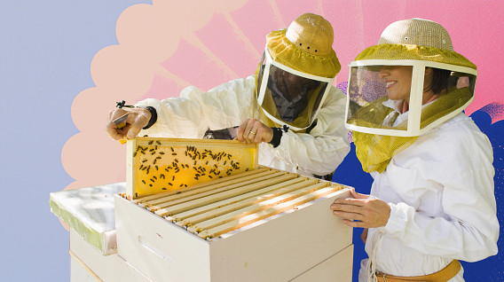 colorful montage featuring two people inspecting a honey frame from a beehive