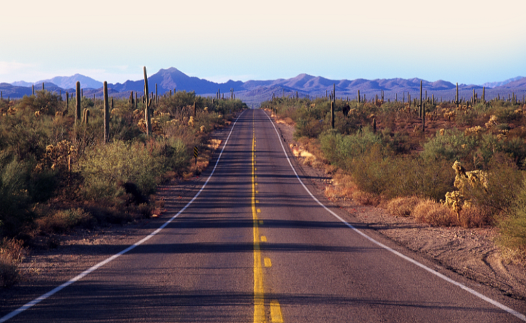 A 2 lane road in the desert, with cacti and other plants on either side and mountains in the distance. The sky above is blue and sunny.